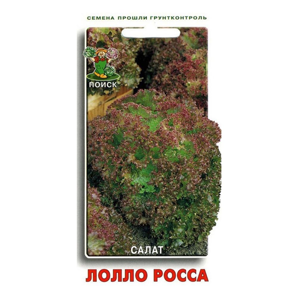 Салат Лолло Росса Поиск 1 г