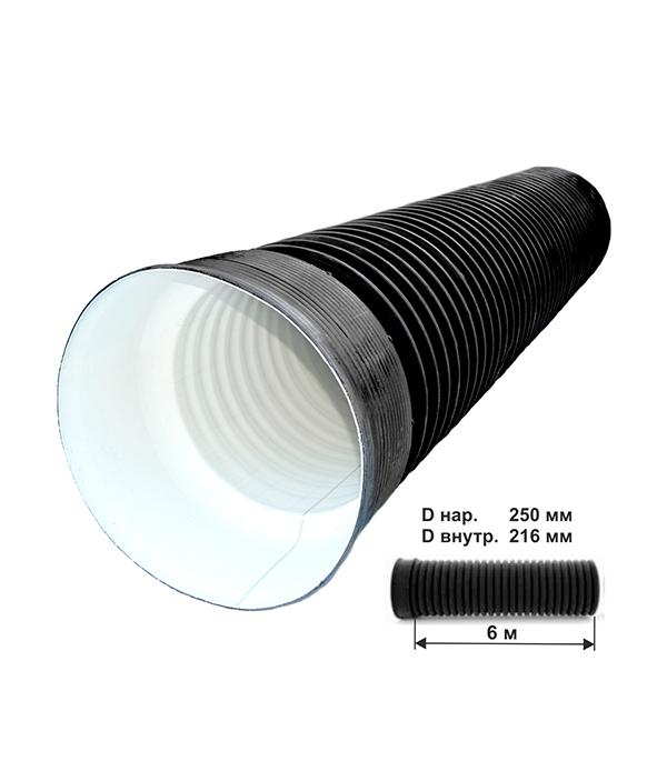Труба двустенная гофрированная ПНД d250/216 мм 6 м SN6 с раструбом