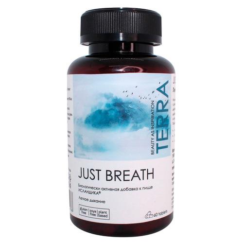 TERRA | Just Breath БАД Исландика