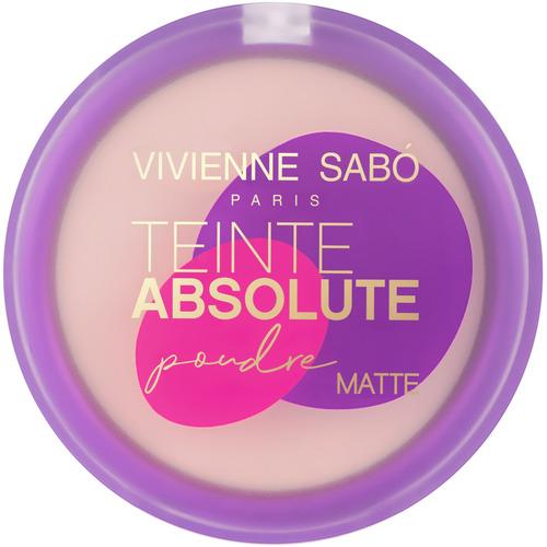 Teinte absolute matte Компактная матирующая пудра