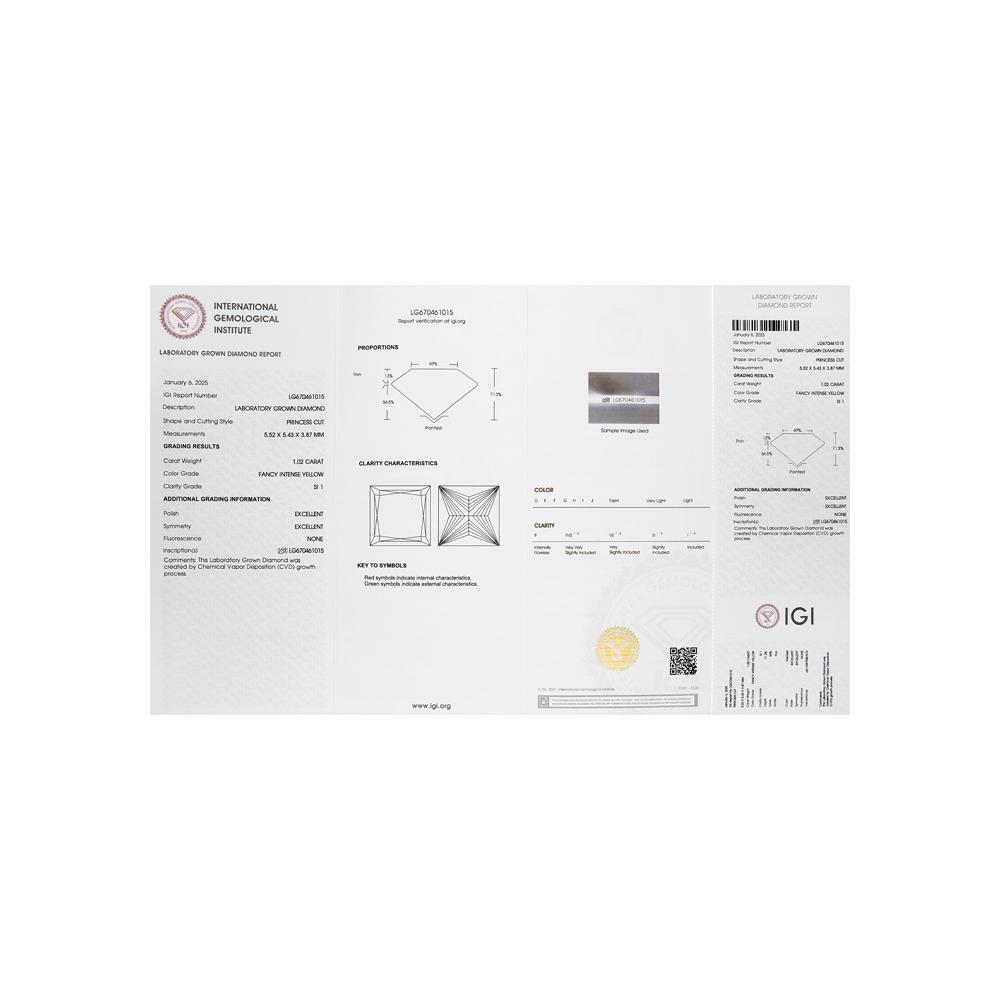 https://g0.sunlight.net/media/products/10d17ce5-24ca-11f0-b5fd-005056bccafe.jpg