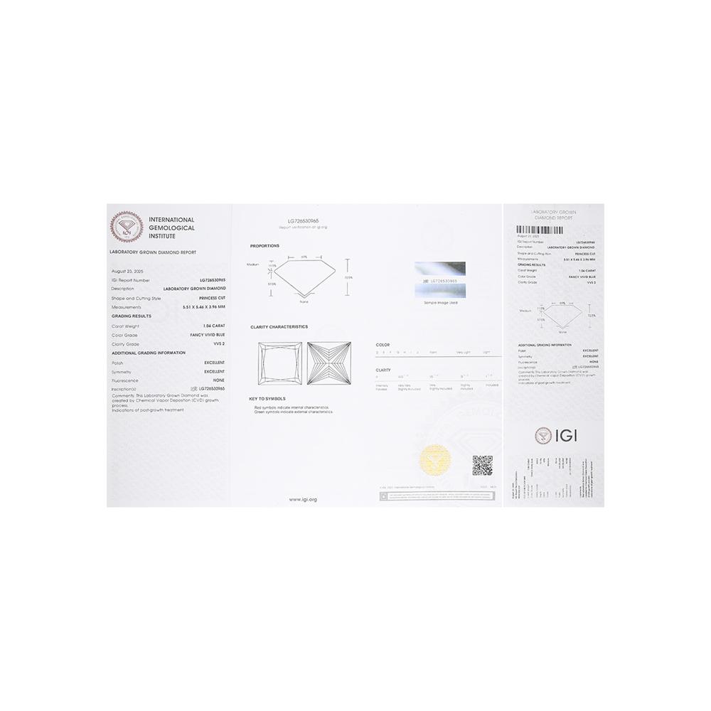 https://g0.sunlight.net/media/products/c84302a6-c511-11f0-b6cc-005056bccafe.jpg