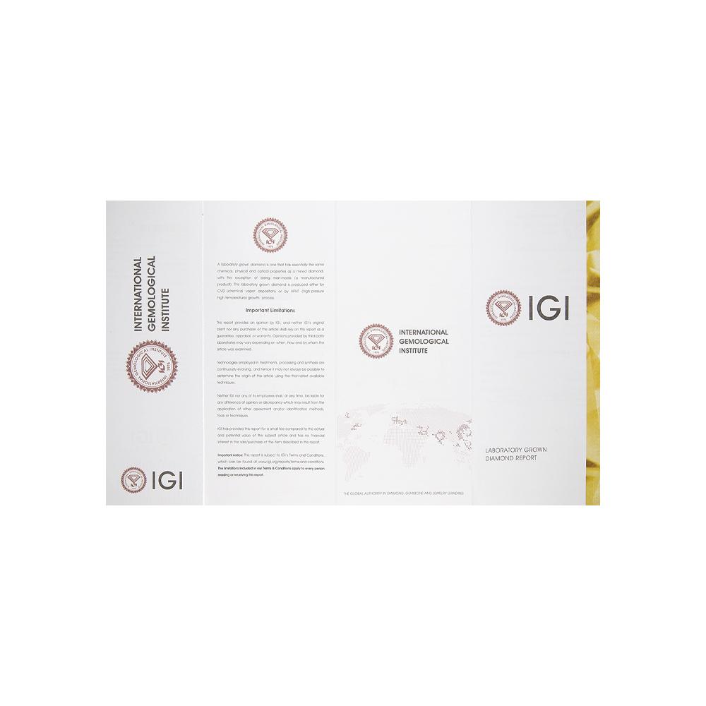 https://g0.sunlight.net/media/products/ce595fb5-c511-11f0-b6cc-005056bccafe.jpg