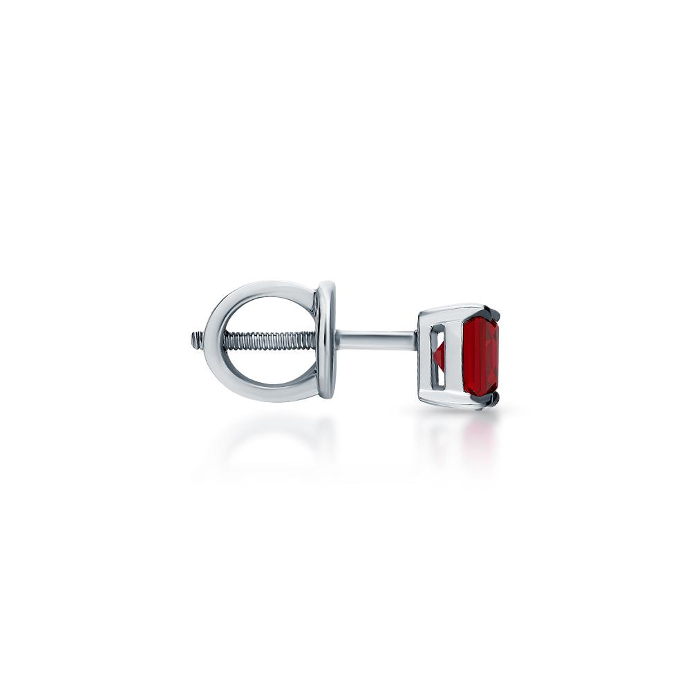 https://g2.sunlight.net/media/products/e6897474-fda2-11f0-b714-005056bccafe.jpg