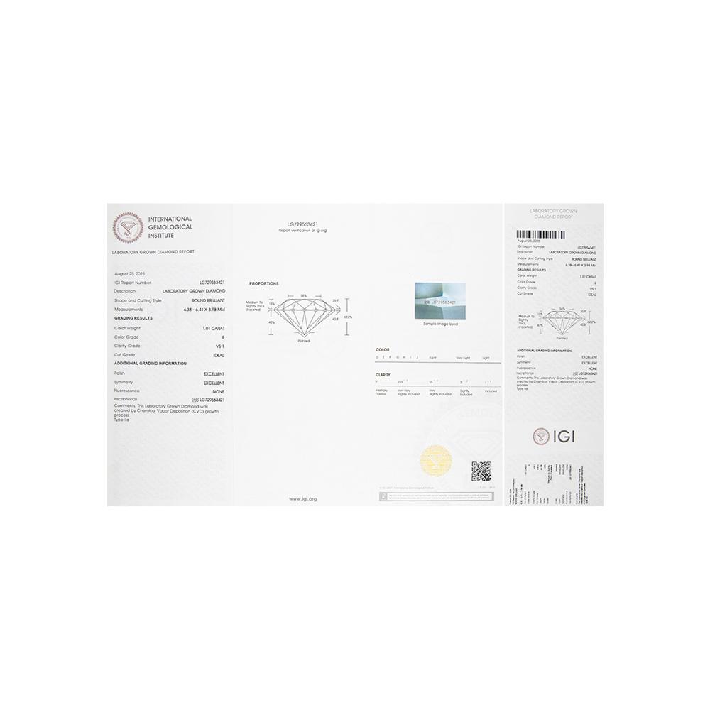 https://g3.sunlight.net/media/products/e4882191-d727-11f0-b6e3-005056bccafe.jpg