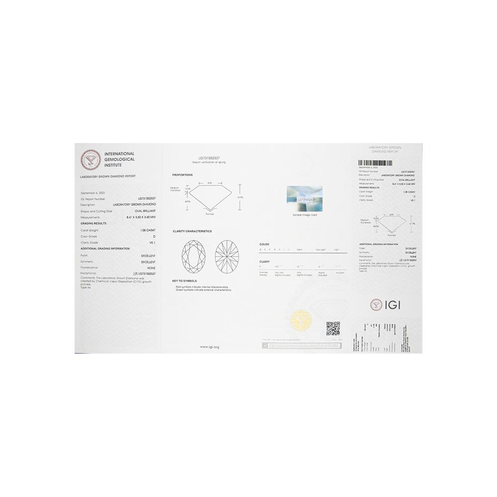 https://g4.sunlight.net/media/products/437664d4-f696-11f0-b70b-005056bccafe.jpg