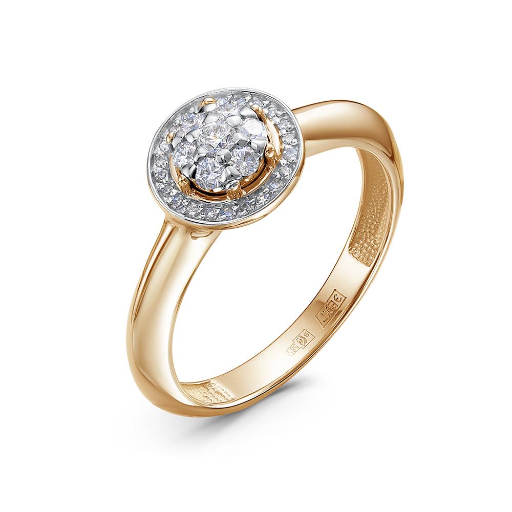 https://g5.sunlight.net/media/products/66baea29-cead-11f0-b6d8-005056bccafe.jpg