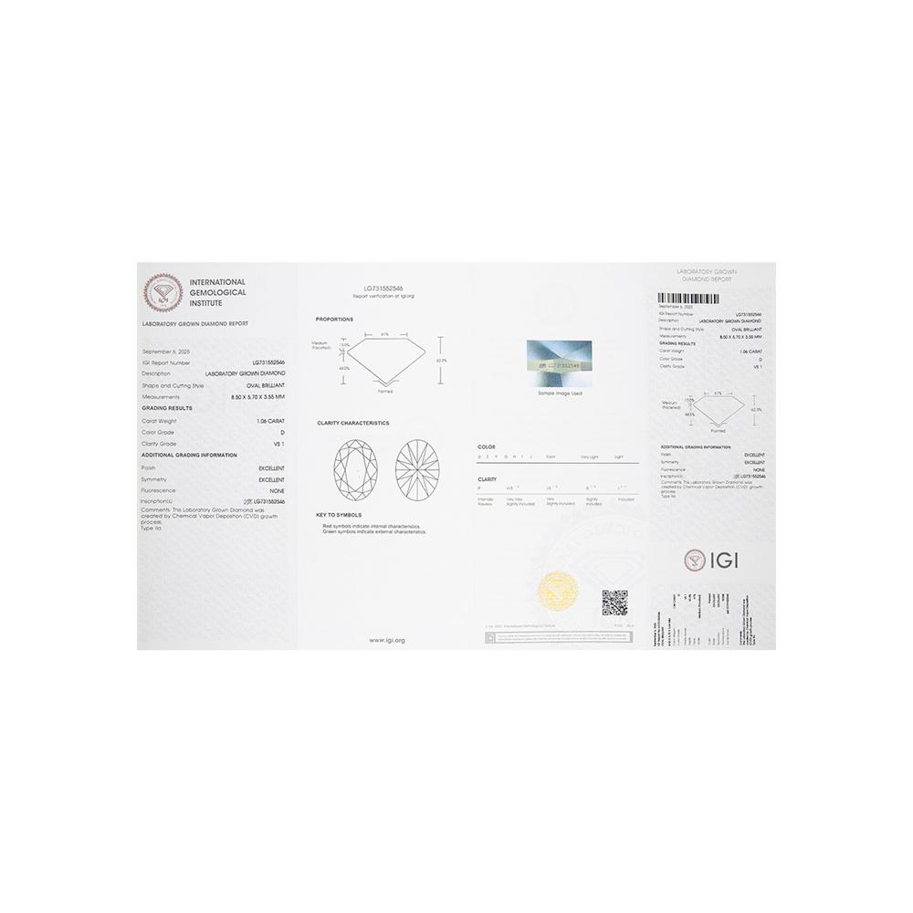 https://g5.sunlight.net/media/products/763a824c-f696-11f0-b70b-005056bccafe.jpg