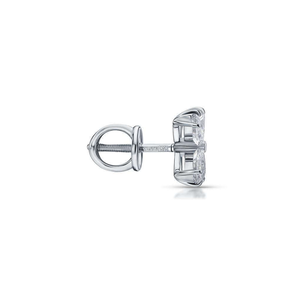 https://g6.sunlight.net/media/products/0bf2e878-c38e-11f0-b6ca-005056bccafe.jpg