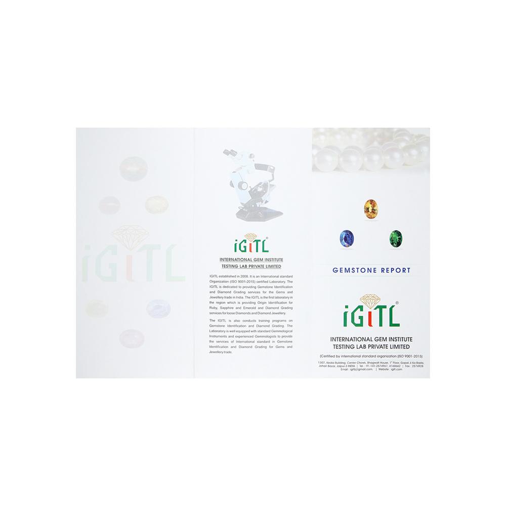 https://g6.sunlight.net/media/products/7e93abd2-1604-11f1-b733-005056bccafe.jpg