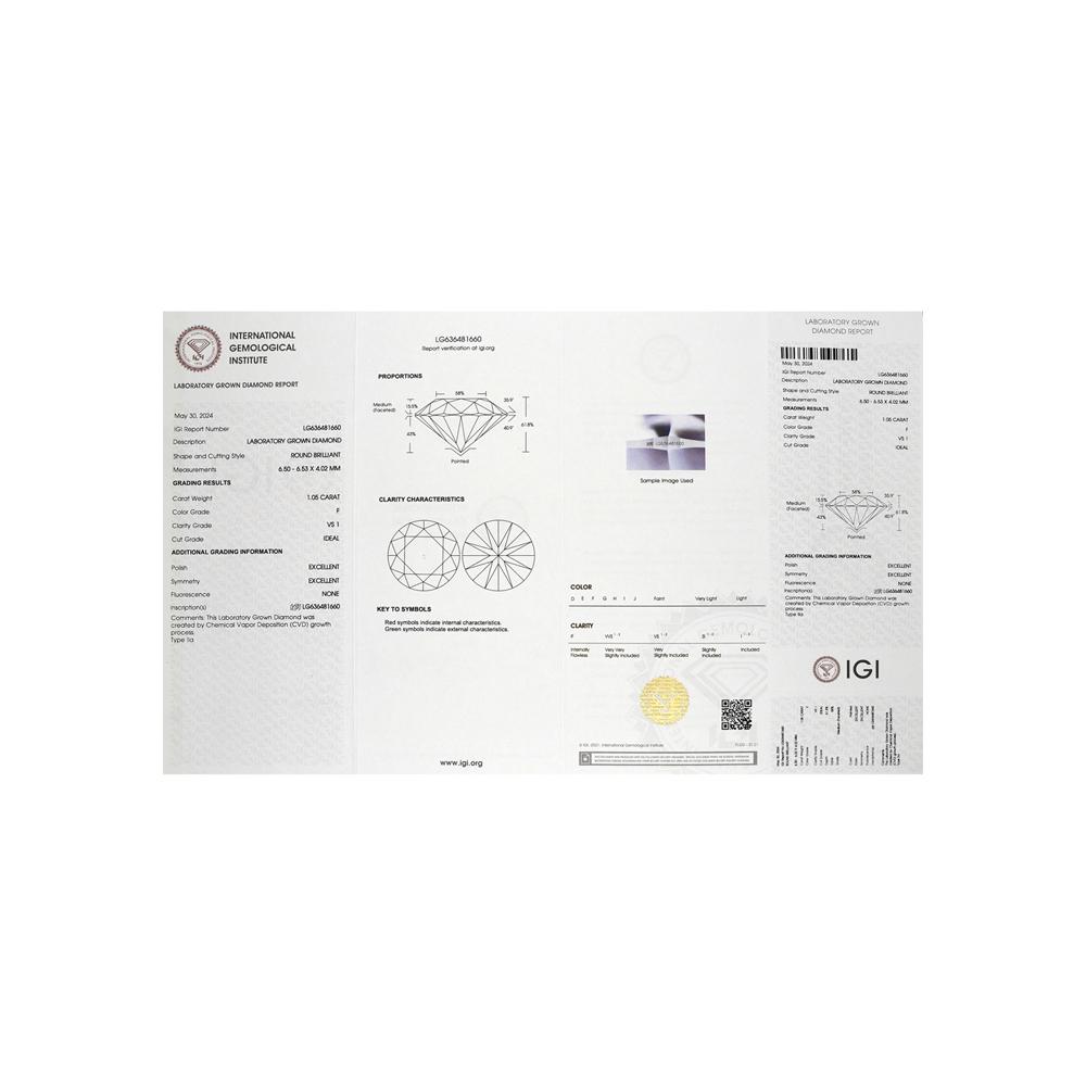 https://g6.sunlight.net/media/products/cb537df0-72dc-11ef-b51a-005056bccafe.jpg