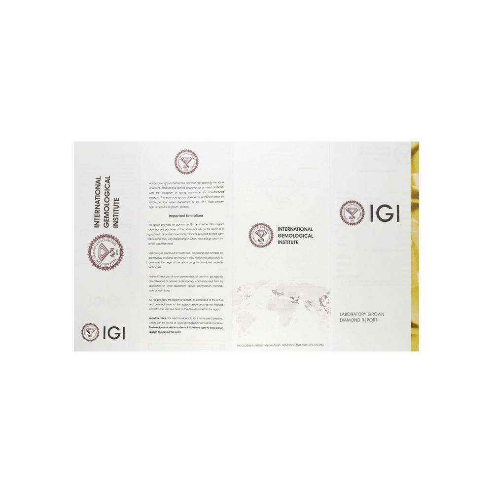 https://g8.sunlight.net/media/products/cb537e15-72dc-11ef-b51a-005056bccafe.jpg