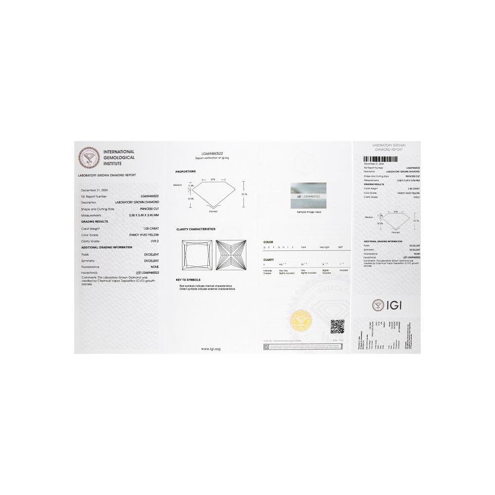 https://g9.sunlight.net/media/products/10d17c9b-24ca-11f0-b5fd-005056bccafe.jpg