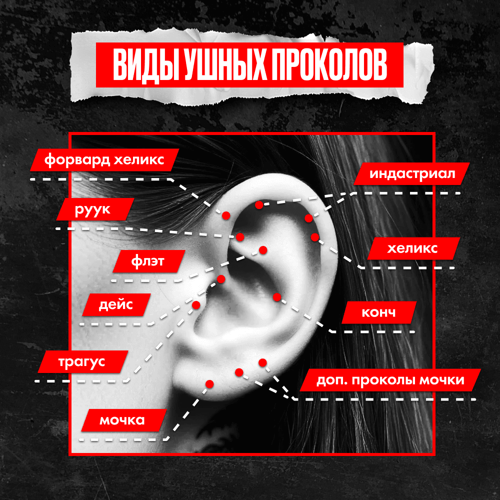 https://g9.sunlight.net/media/products/93708db1-bb47-4193-a276-39935ea450e0.png