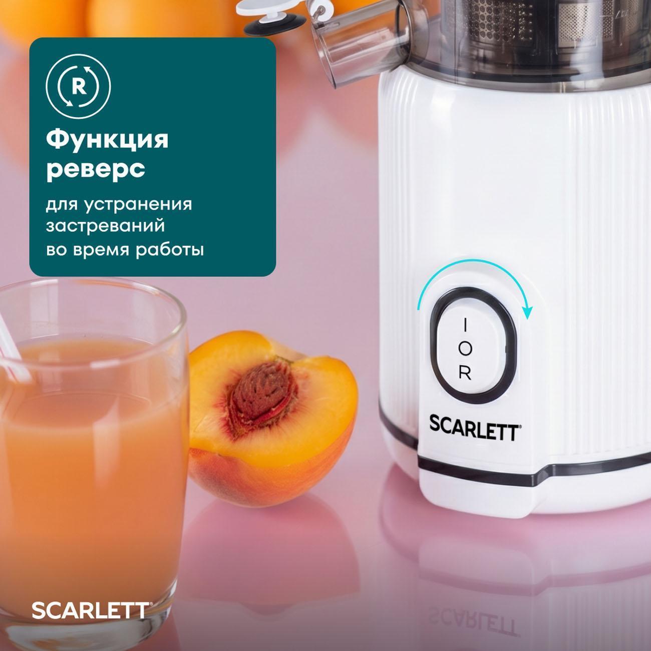 https://img.mvideo.ru/Big/0067947b-5f36-4e59-ae4b-fa541d3090d2.jpg