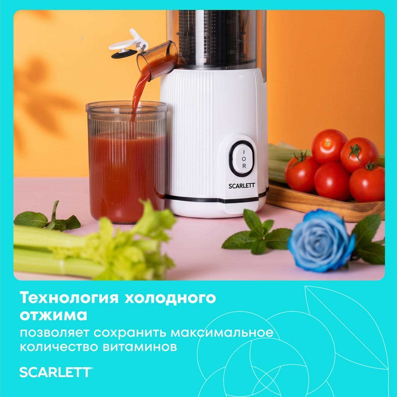 https://img.mvideo.ru/Big/053ad02e-8907-4103-8d59-e84d86039982.jpg