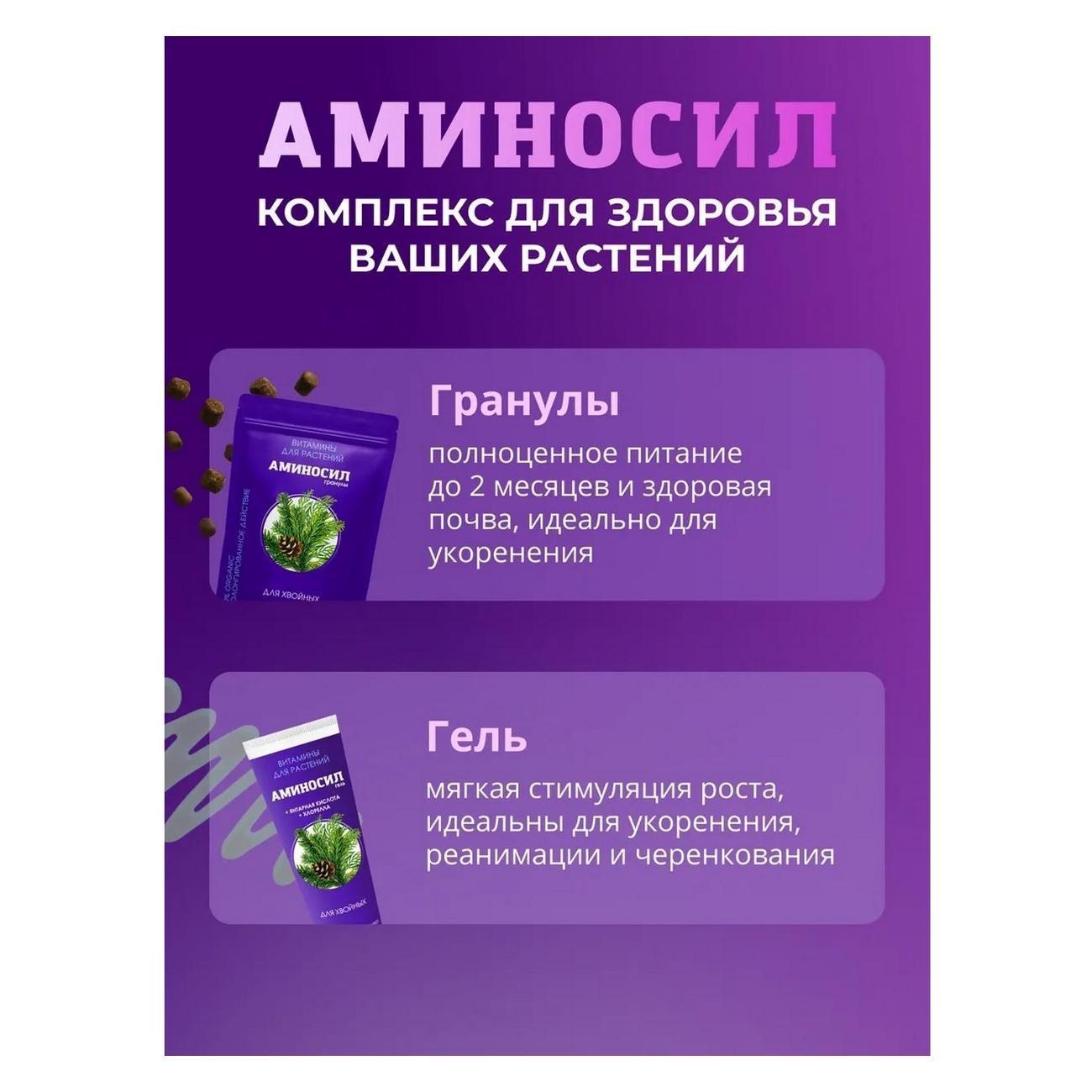 https://img.mvideo.ru/Big/11c2245b-4e8a-420f-a12a-55f068f29246.jpg