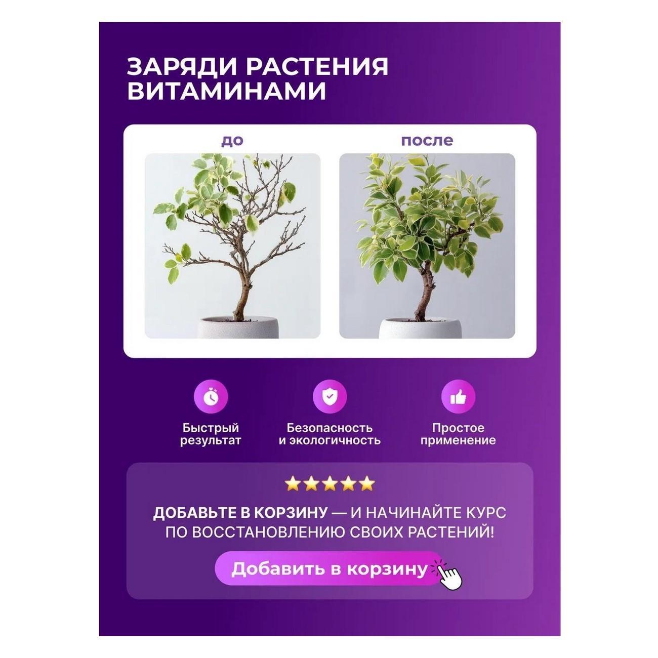 https://img.mvideo.ru/Big/1207d4dc-e3a7-46fb-b5ab-8a64ffc5ef70.jpg