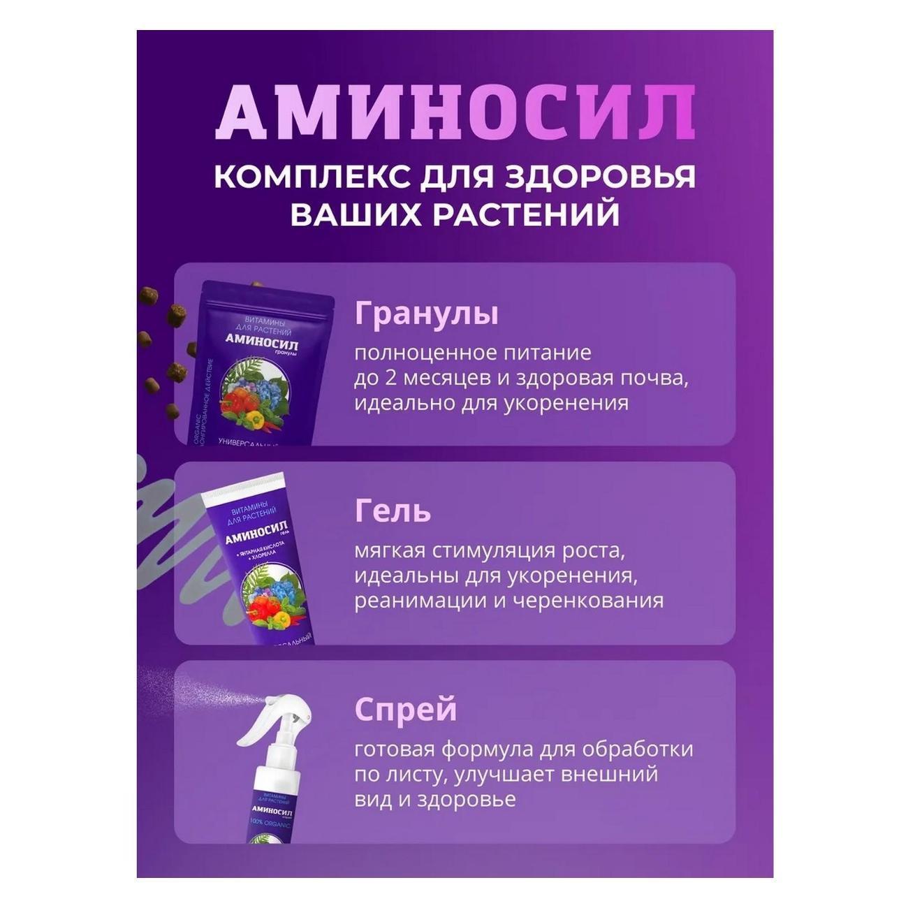 https://img.mvideo.ru/Big/163fd7e5-368f-4067-8849-4a3b7f7f4107.jpg