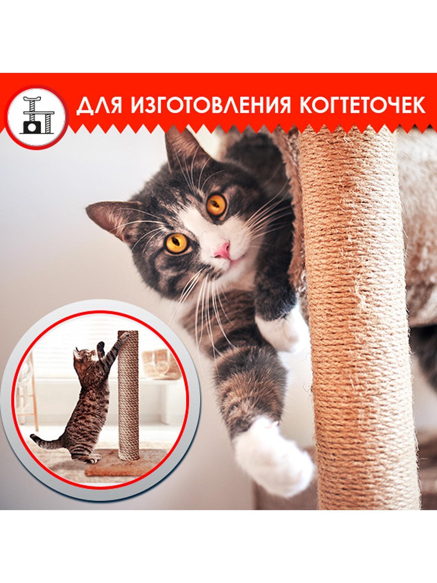 https://img.mvideo.ru/Big/23ea9c10-b6f9-4eab-af64-37e837cec1fb.jpg