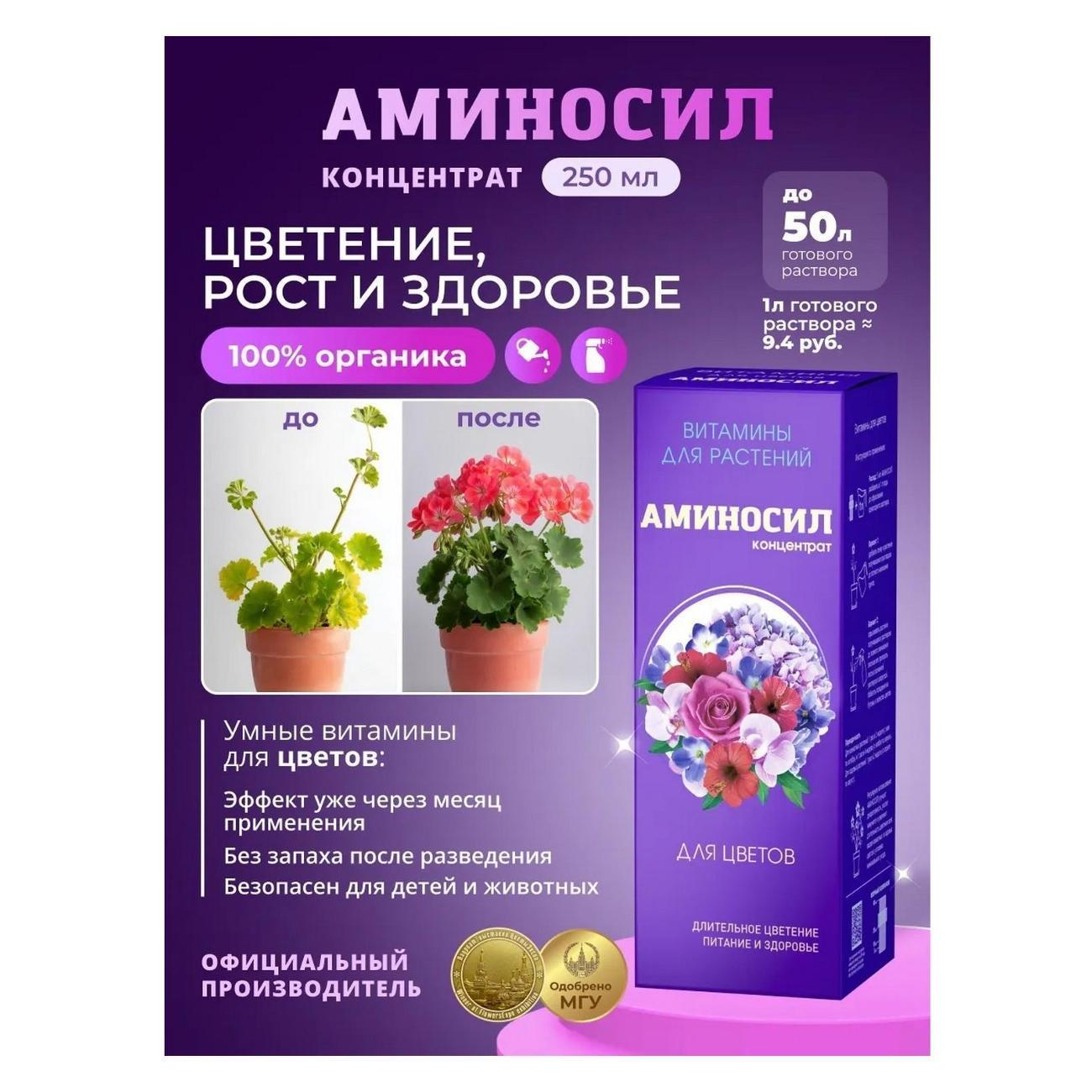 https://img.mvideo.ru/Big/2457de66-f936-4250-8949-659cbb8cb2a3.jpg