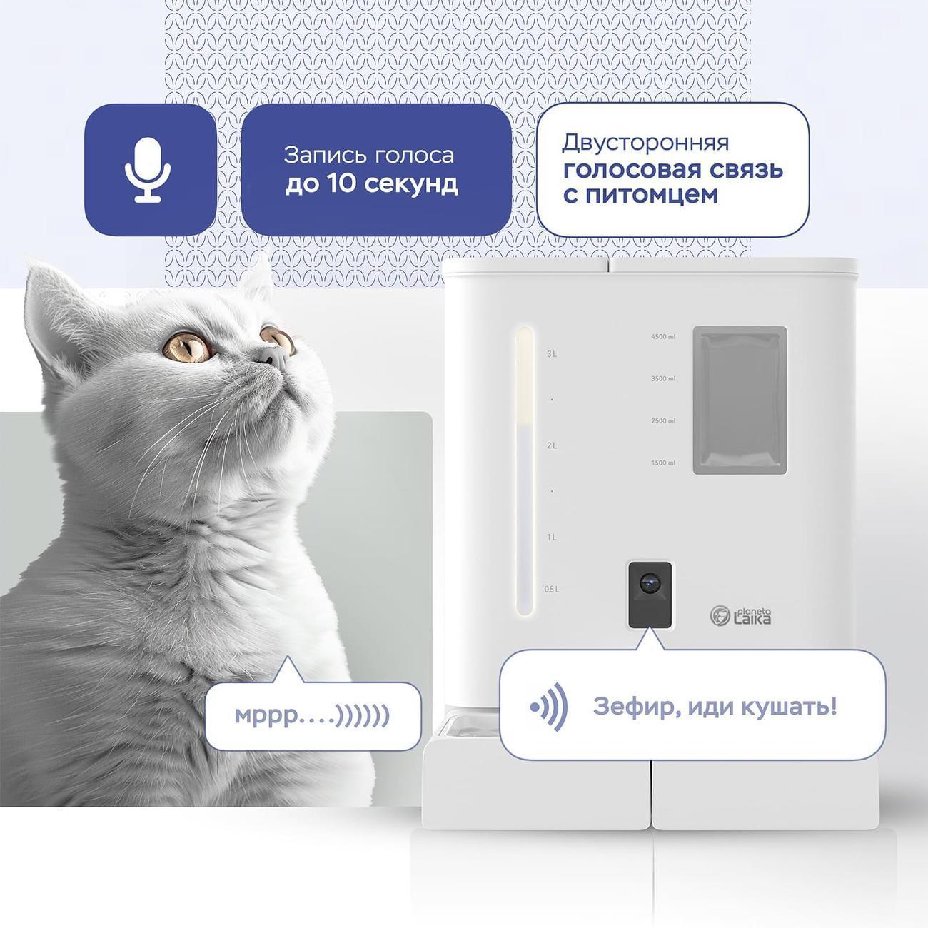 https://img.mvideo.ru/Big/27e87b7a-7d71-4e76-887f-4c1d7934c80f.jpg