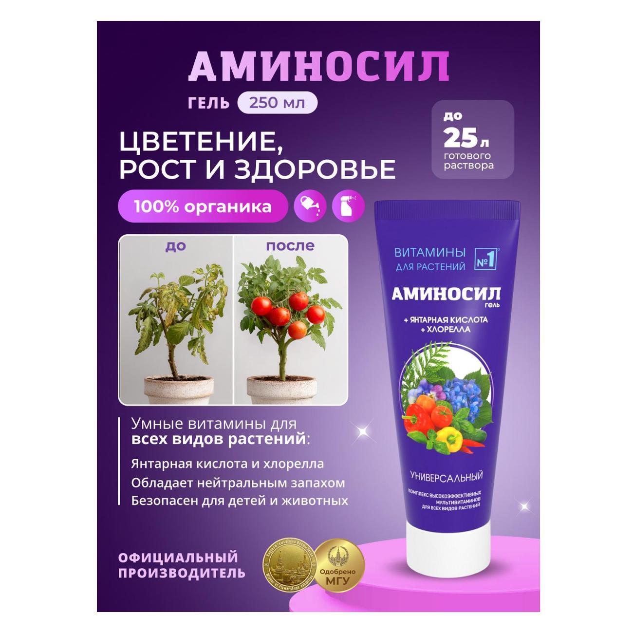 https://img.mvideo.ru/Big/2d0f68ad-33b0-4bad-b34d-9f9bfb74479d.jpg