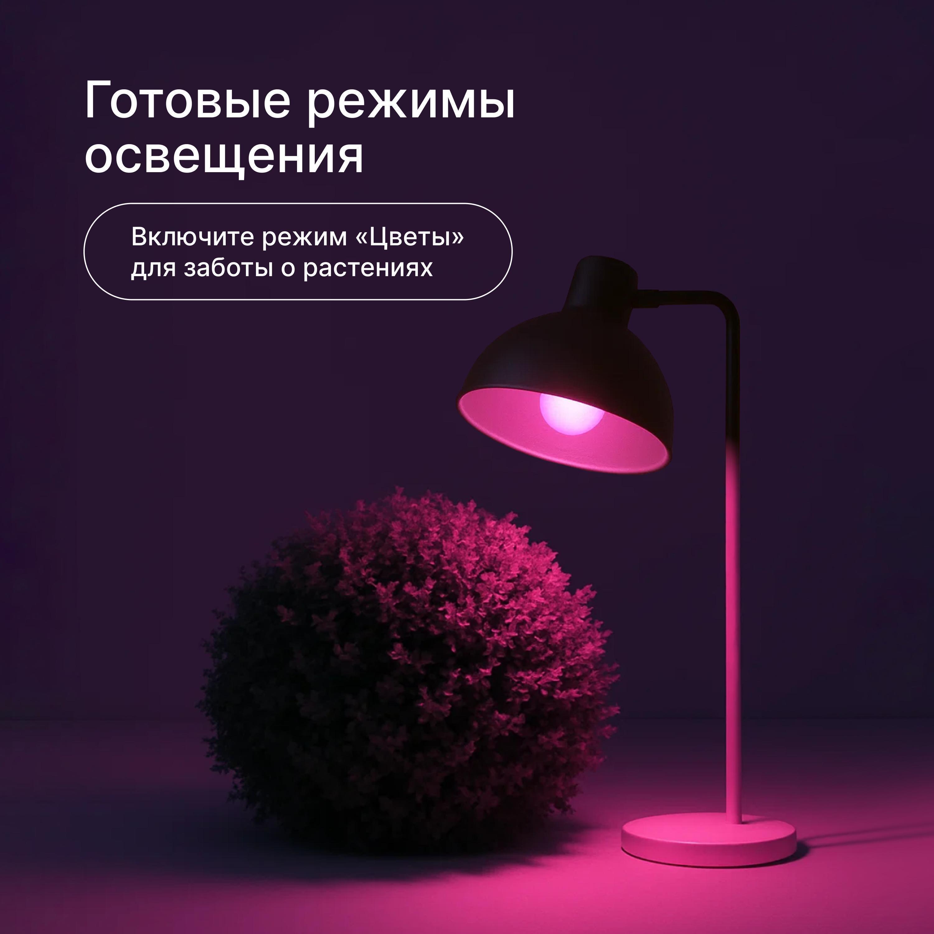 https://img.mvideo.ru/Big/2d2d7efc-1494-4c62-817a-f321322b847e.jpg