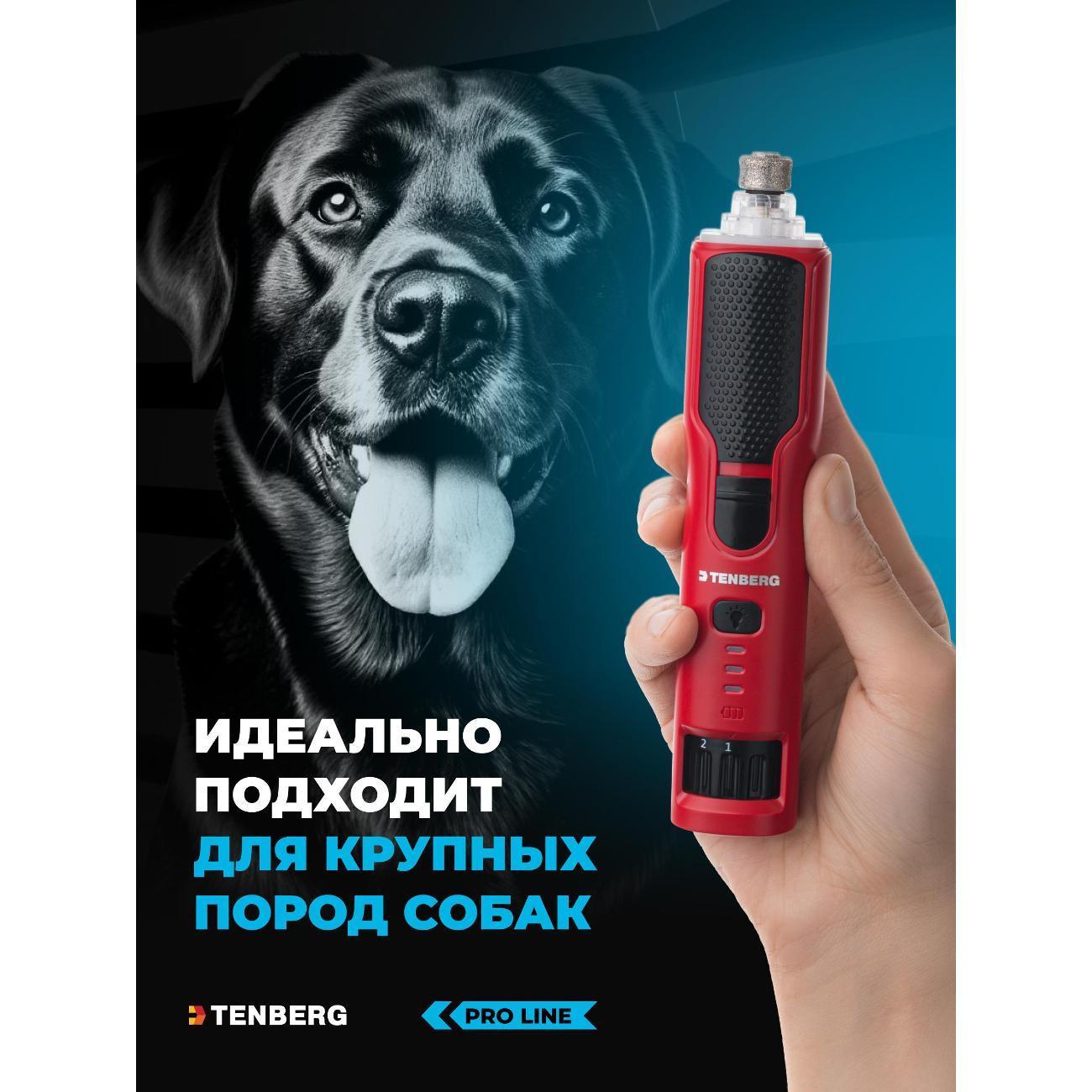 https://img.mvideo.ru/Big/2f198ed3-069f-4fed-962e-e0121c27fdbd.jpg