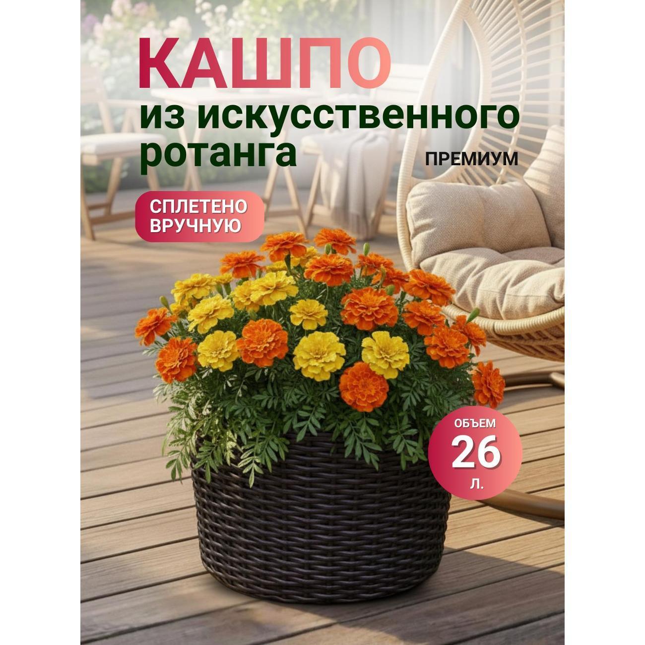https://img.mvideo.ru/Big/3648acdc-8e07-441d-9f2c-26bd8a1b89cd.jpg