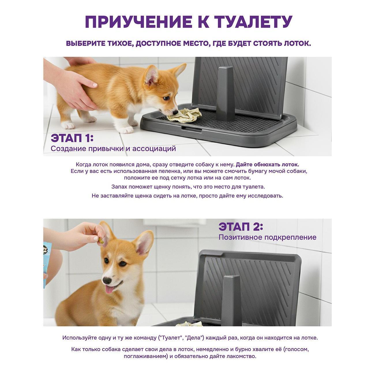https://img.mvideo.ru/Big/3a42257e-2edc-4422-b9f0-f09dc96dddc5.jpg