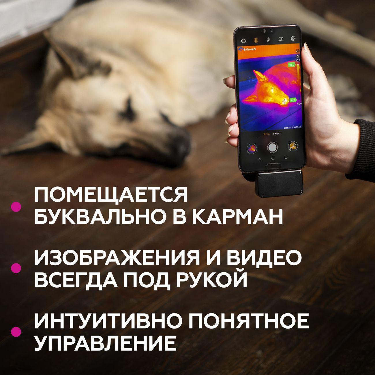 https://img.mvideo.ru/Big/400112338bb9.jpg