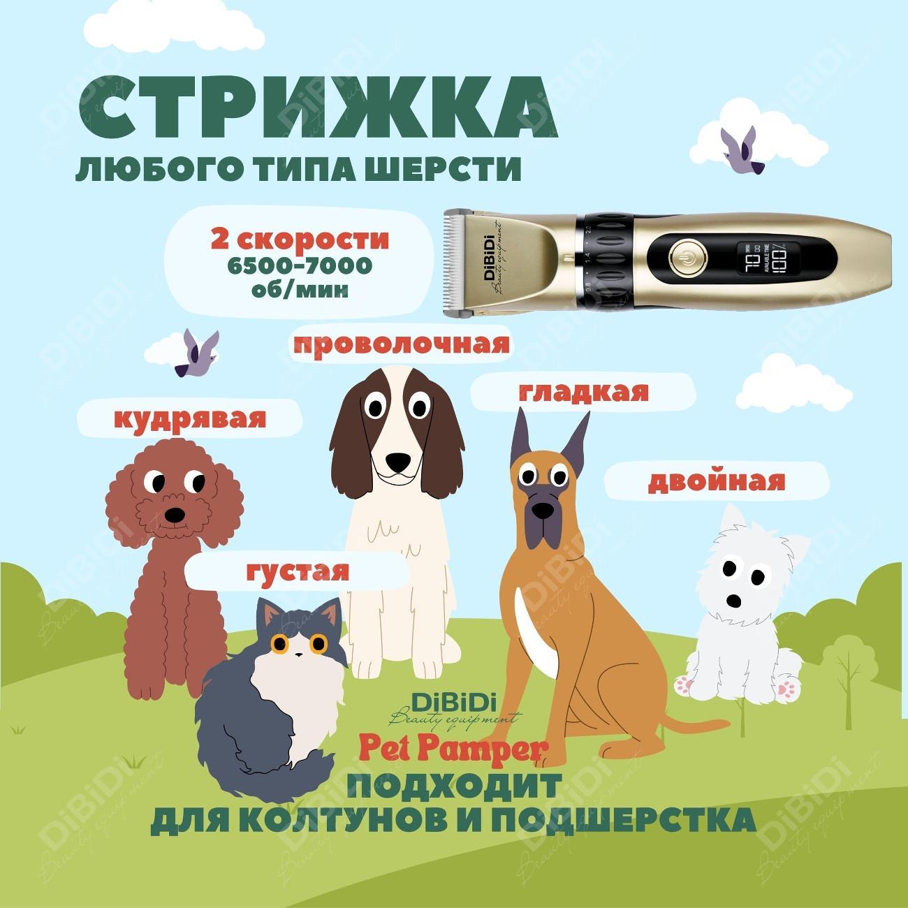 https://img.mvideo.ru/Big/400406177bb11.jpg