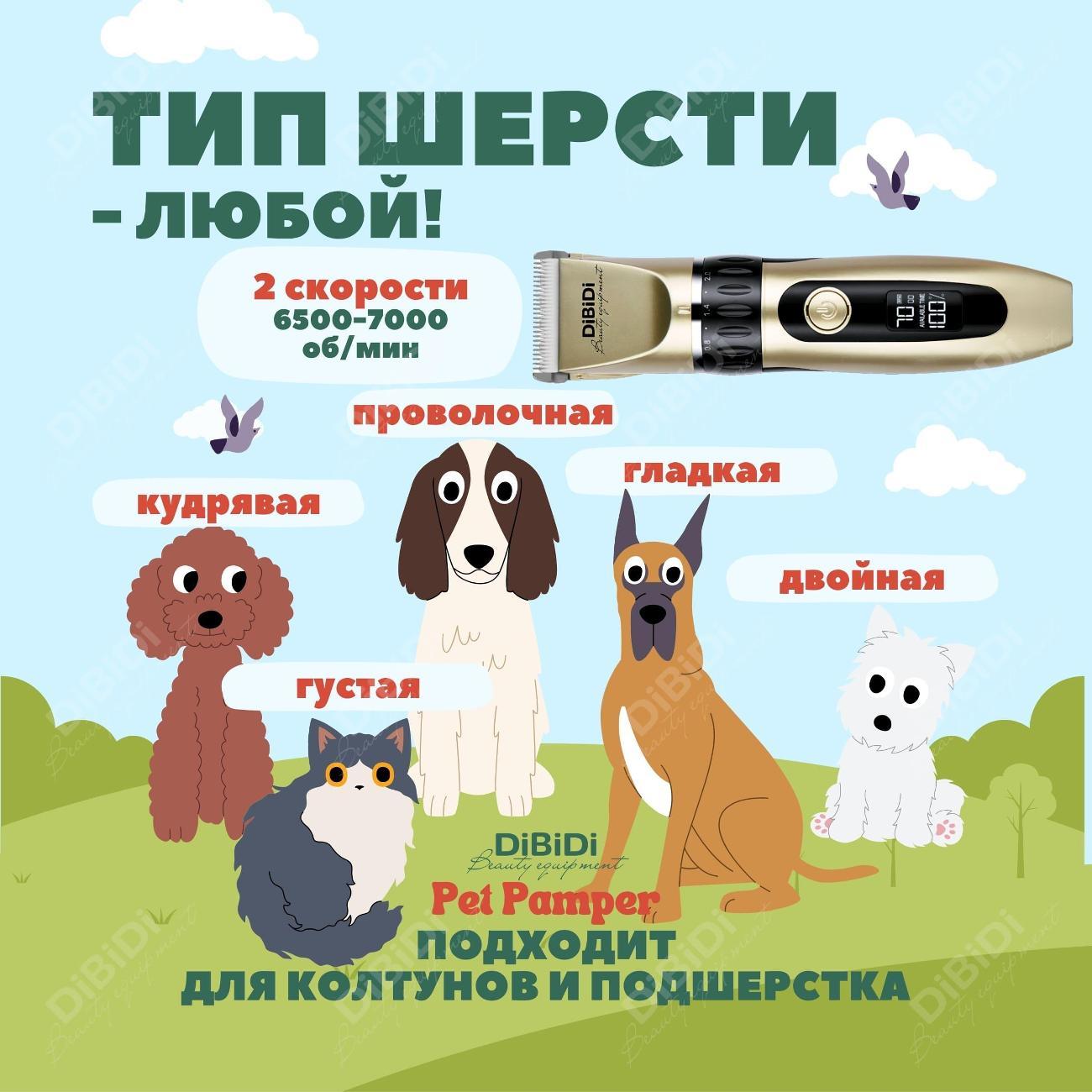 https://img.mvideo.ru/Big/400406177bb12.jpg