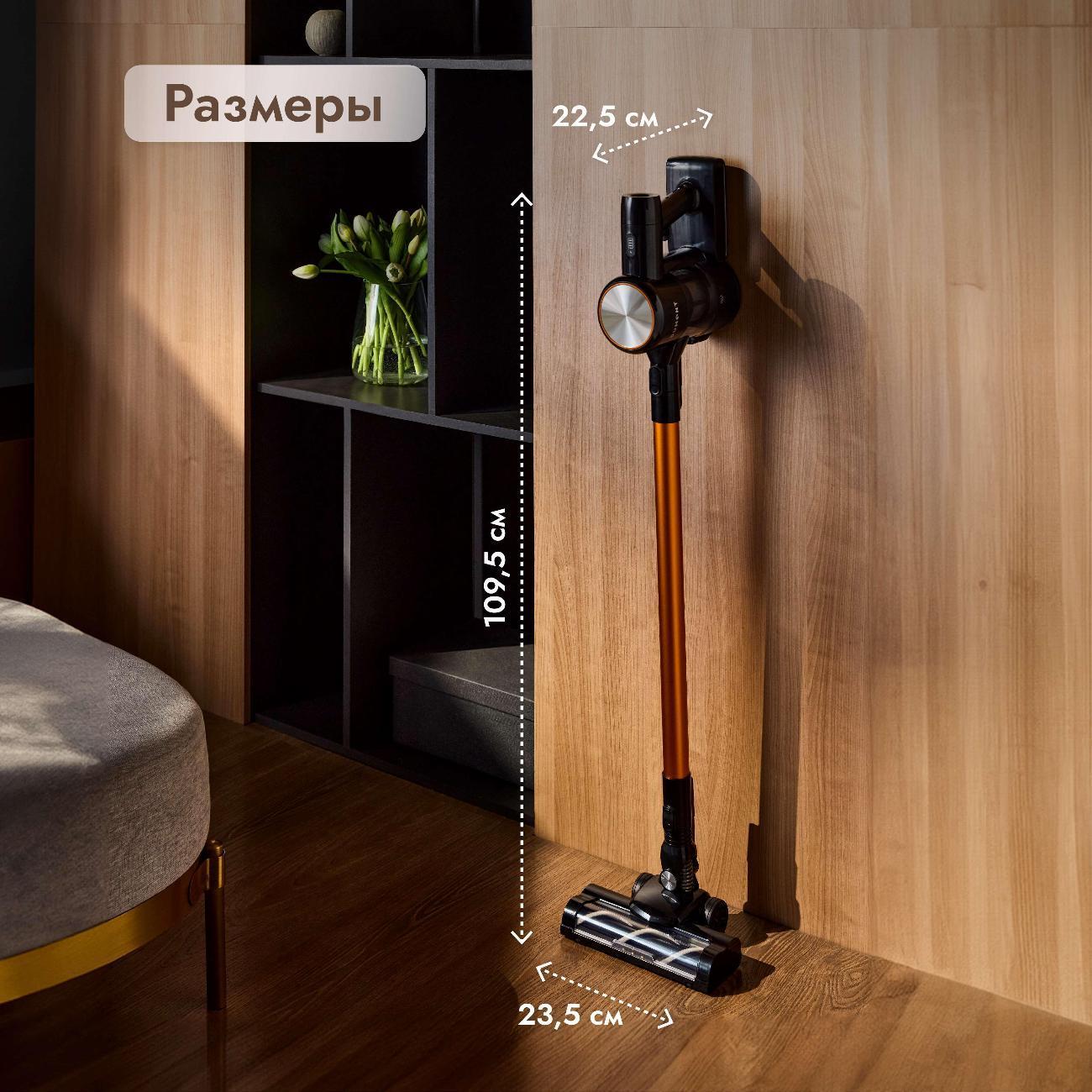 https://img.mvideo.ru/Big/400452384bb10.jpg