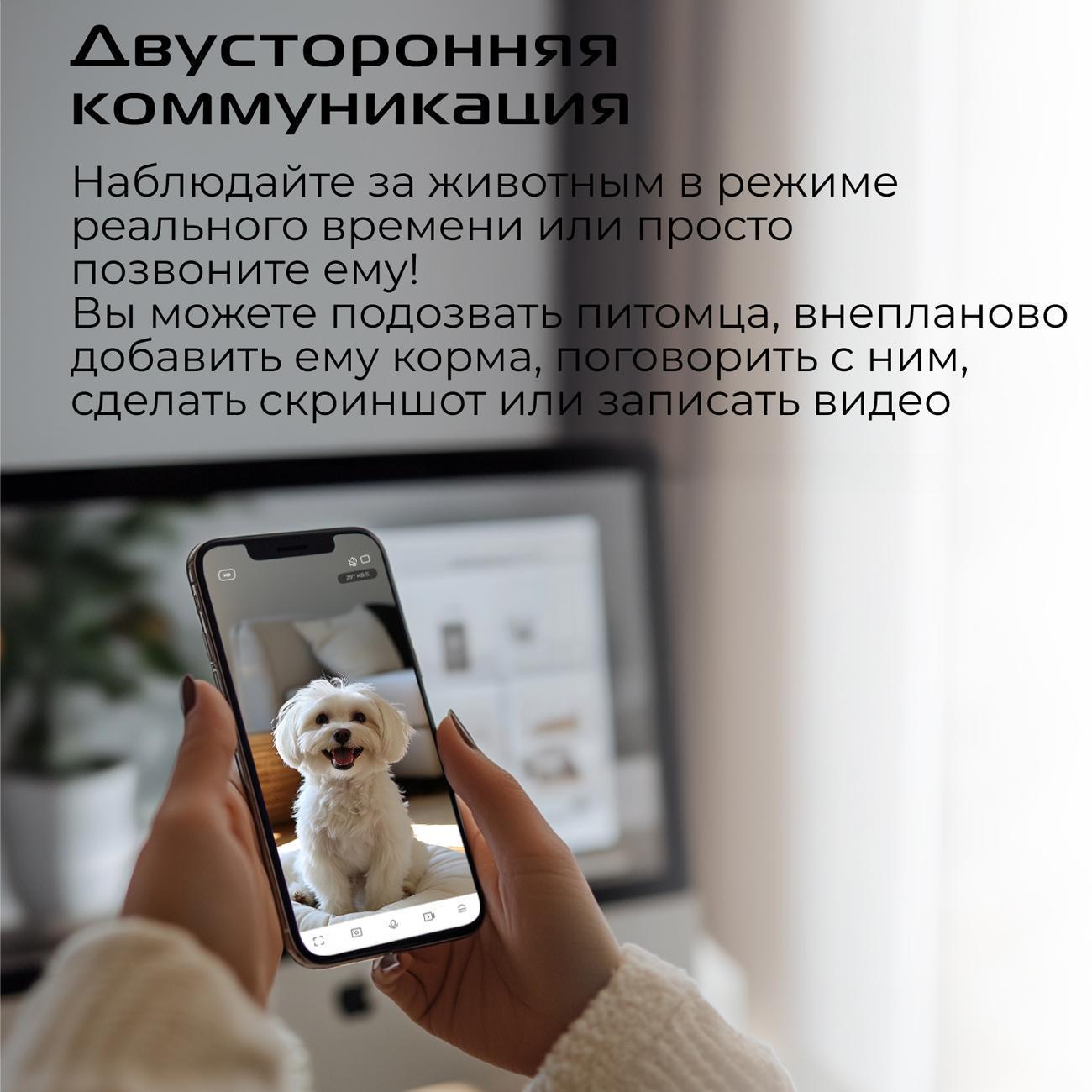https://img.mvideo.ru/Big/400472268bb11.jpg