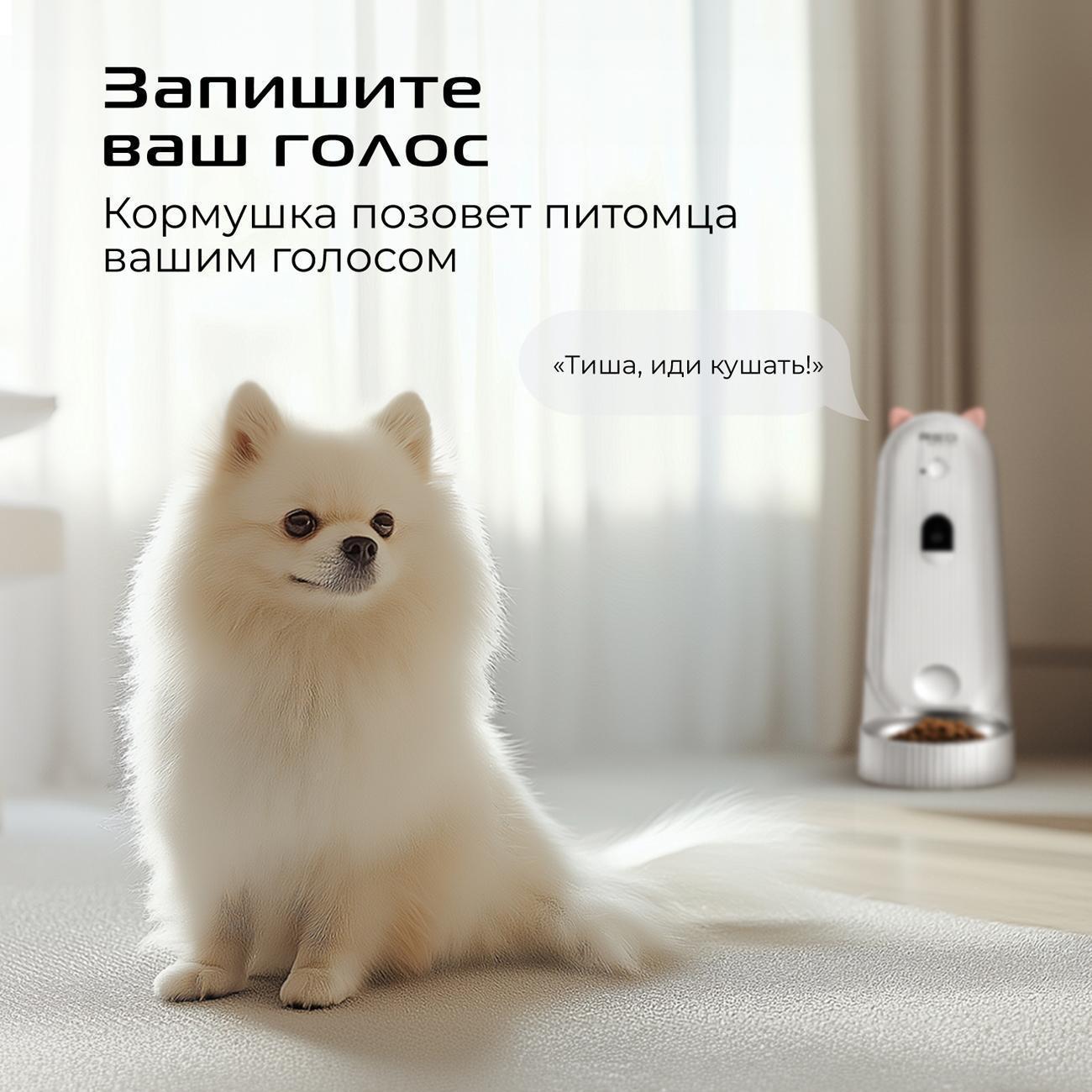 https://img.mvideo.ru/Big/400472268bb3.jpg