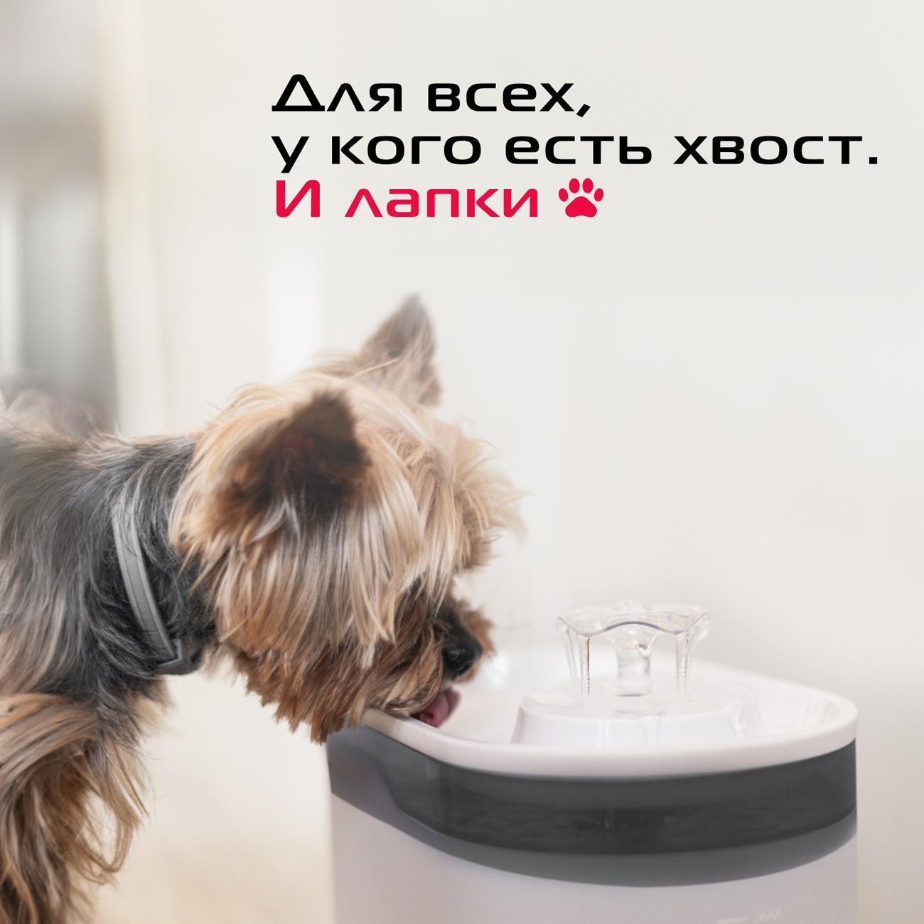 https://img.mvideo.ru/Big/400472274bb7.jpg