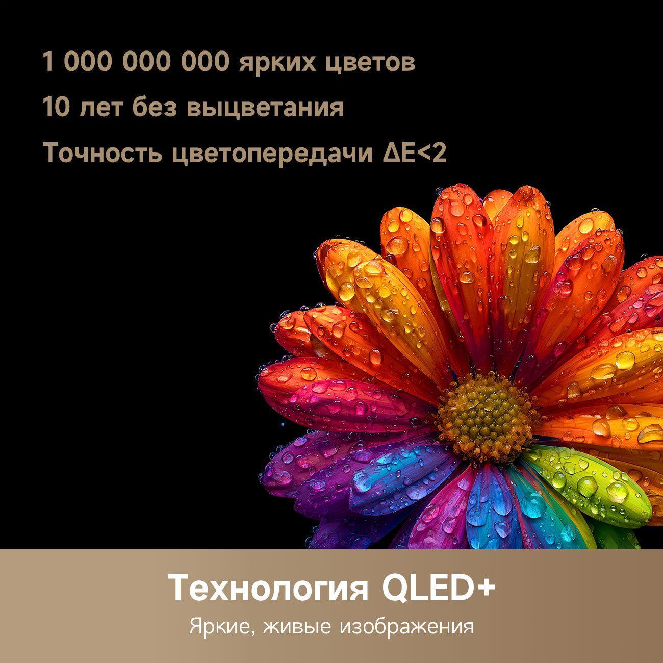 https://img.mvideo.ru/Big/400475322bb6.jpg