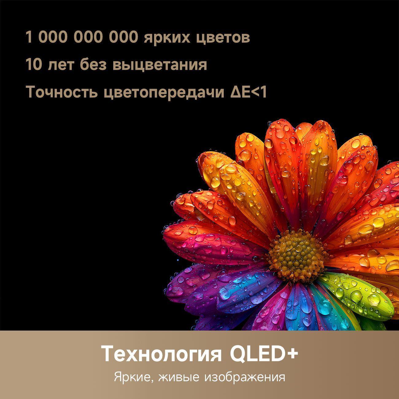 https://img.mvideo.ru/Big/400475381bb6.jpg
