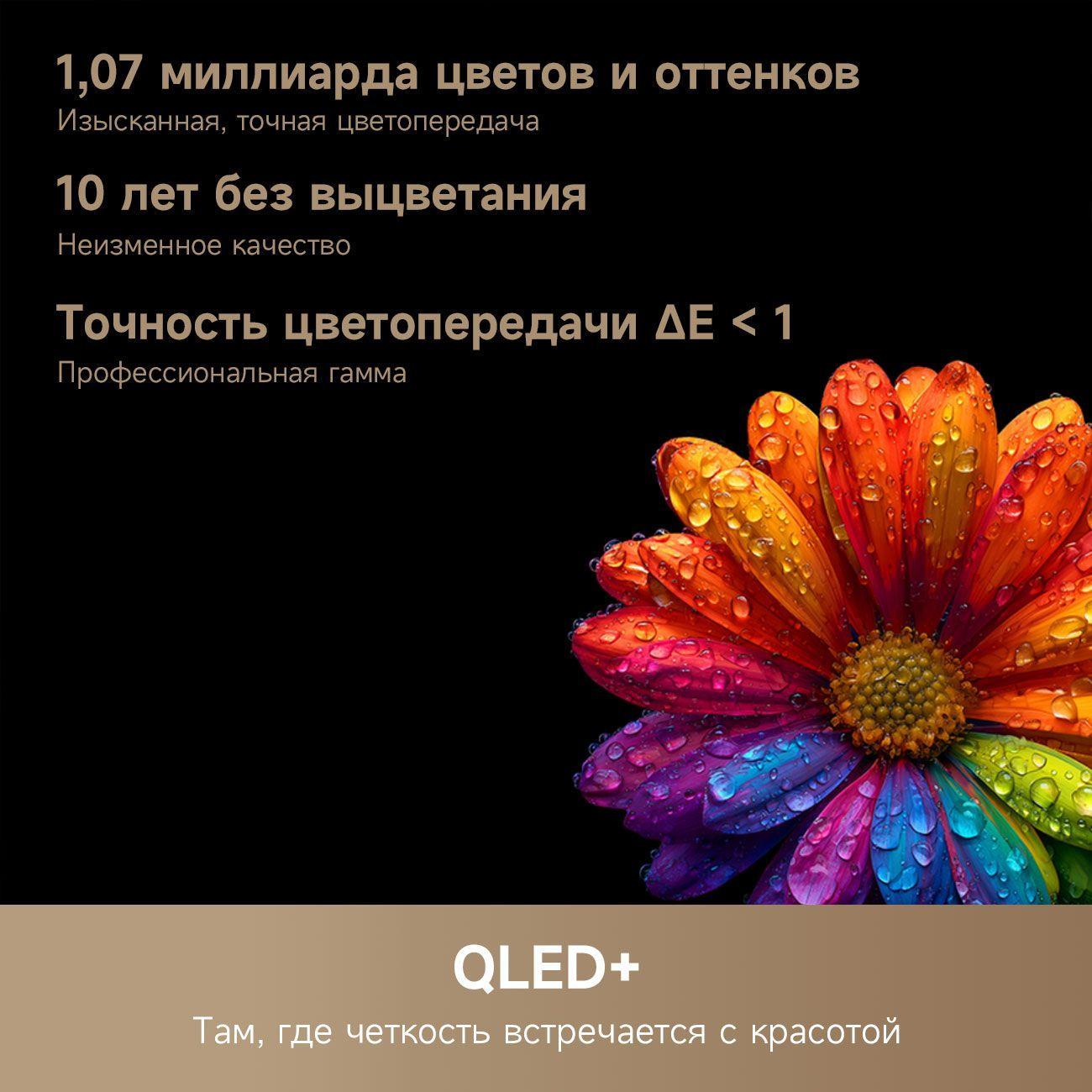 https://img.mvideo.ru/Big/400475397bb9.jpg