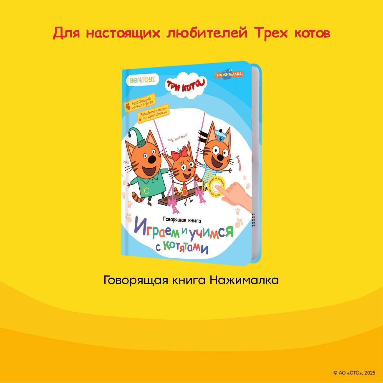 https://img.mvideo.ru/Big/400476494bb11.jpg