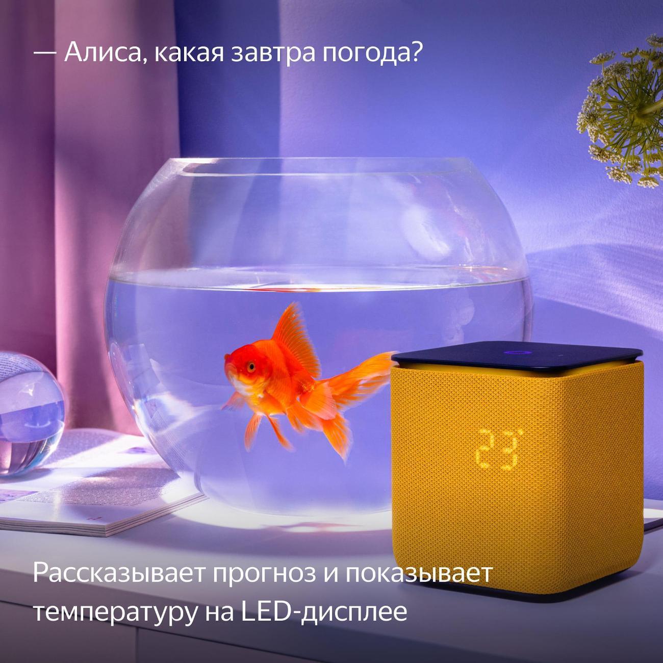 https://img.mvideo.ru/Big/400484016bb9.jpg