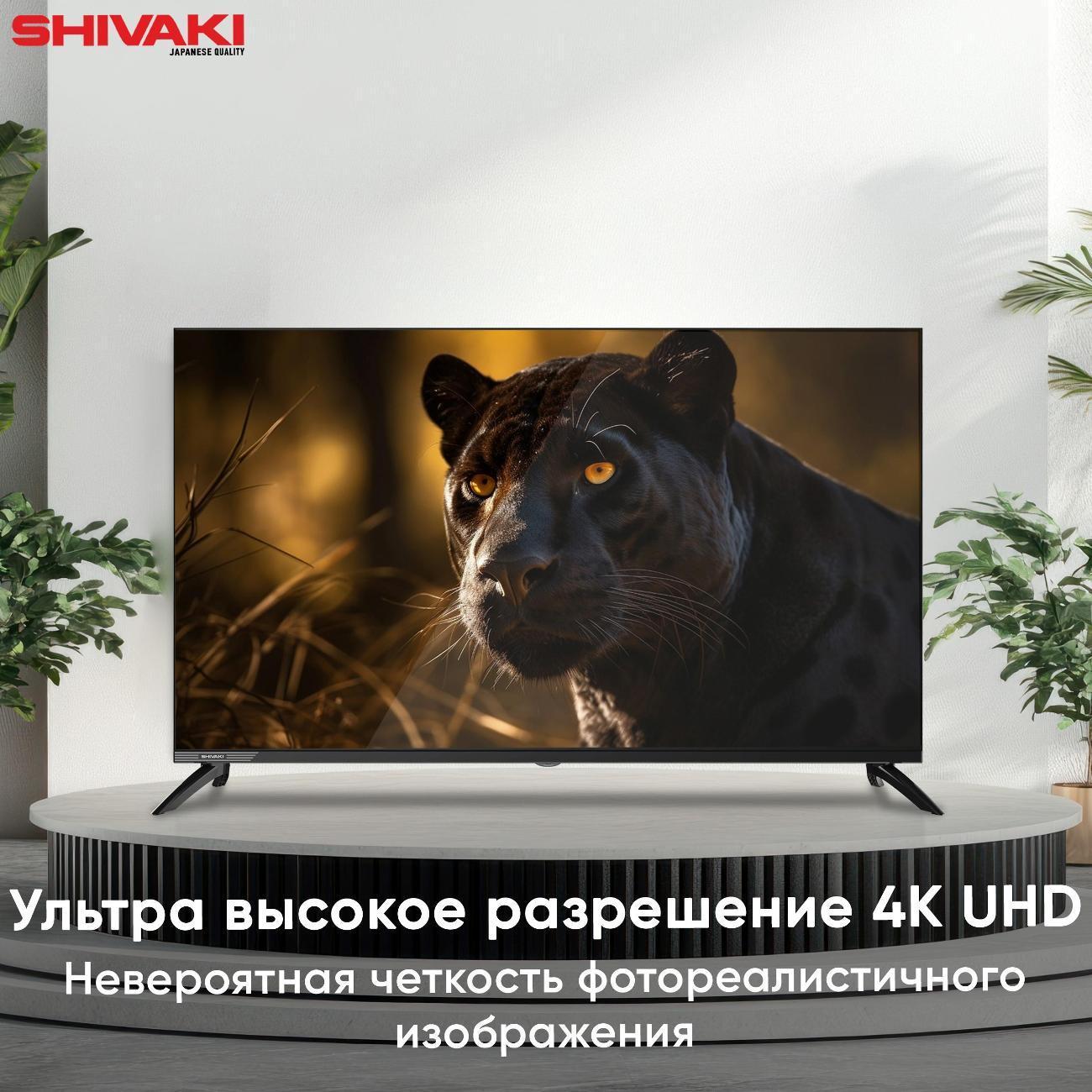 https://img.mvideo.ru/Big/400484302bb2.jpg