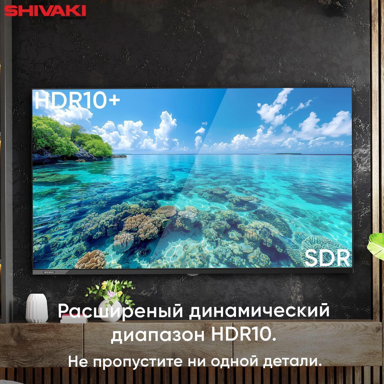 https://img.mvideo.ru/Big/400484302bb7.jpg