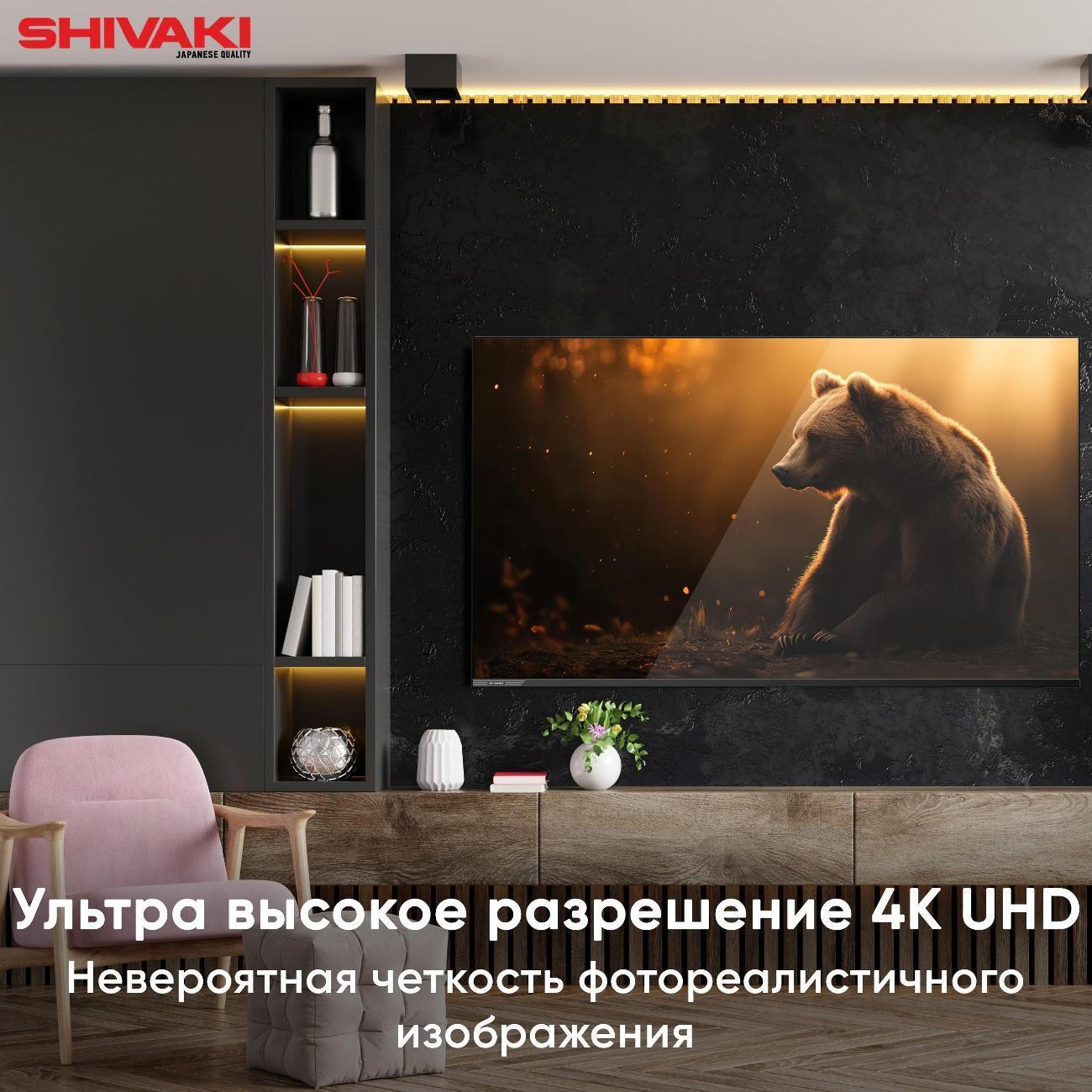 https://img.mvideo.ru/Big/400485969bb2.jpg