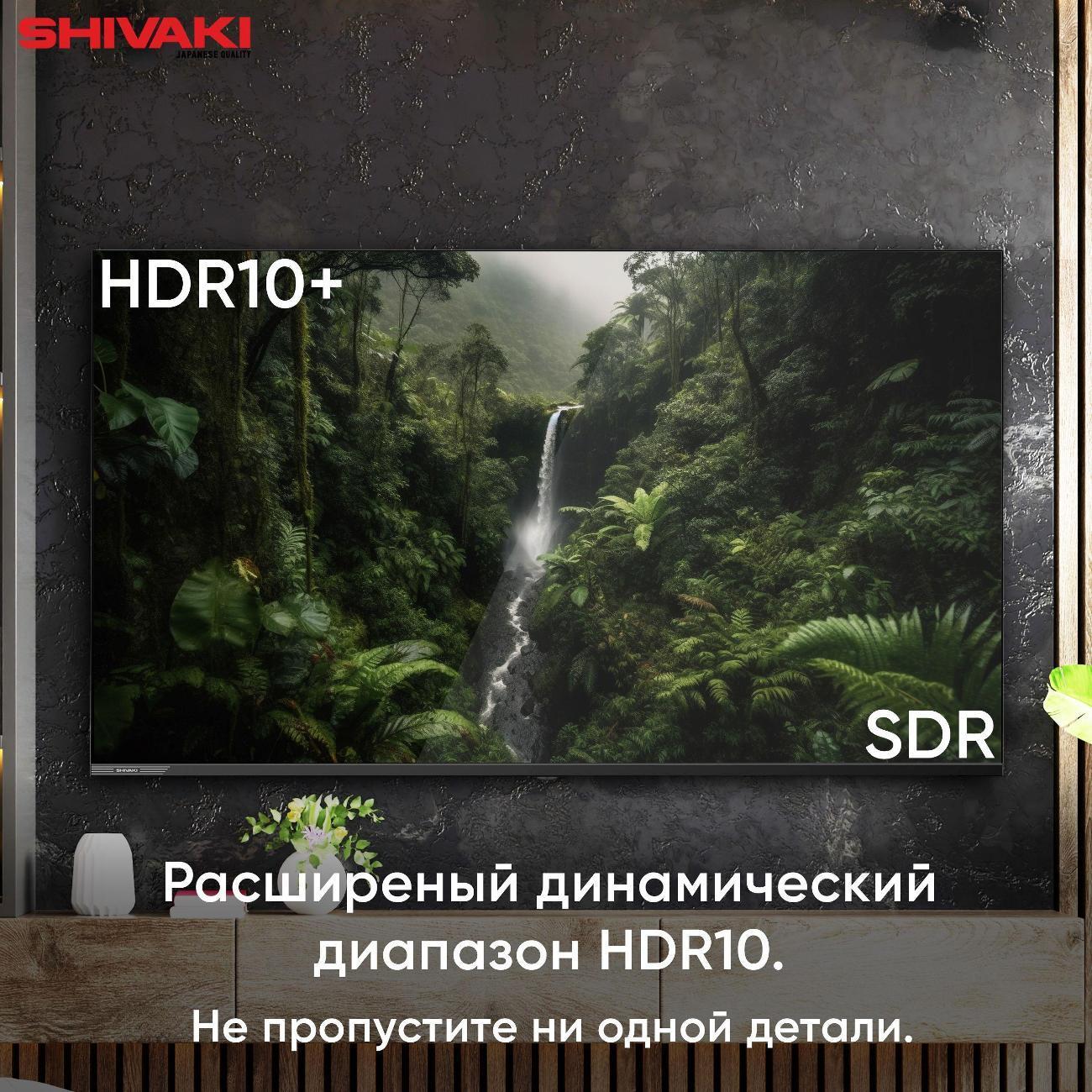 https://img.mvideo.ru/Big/400486248bb6.jpg