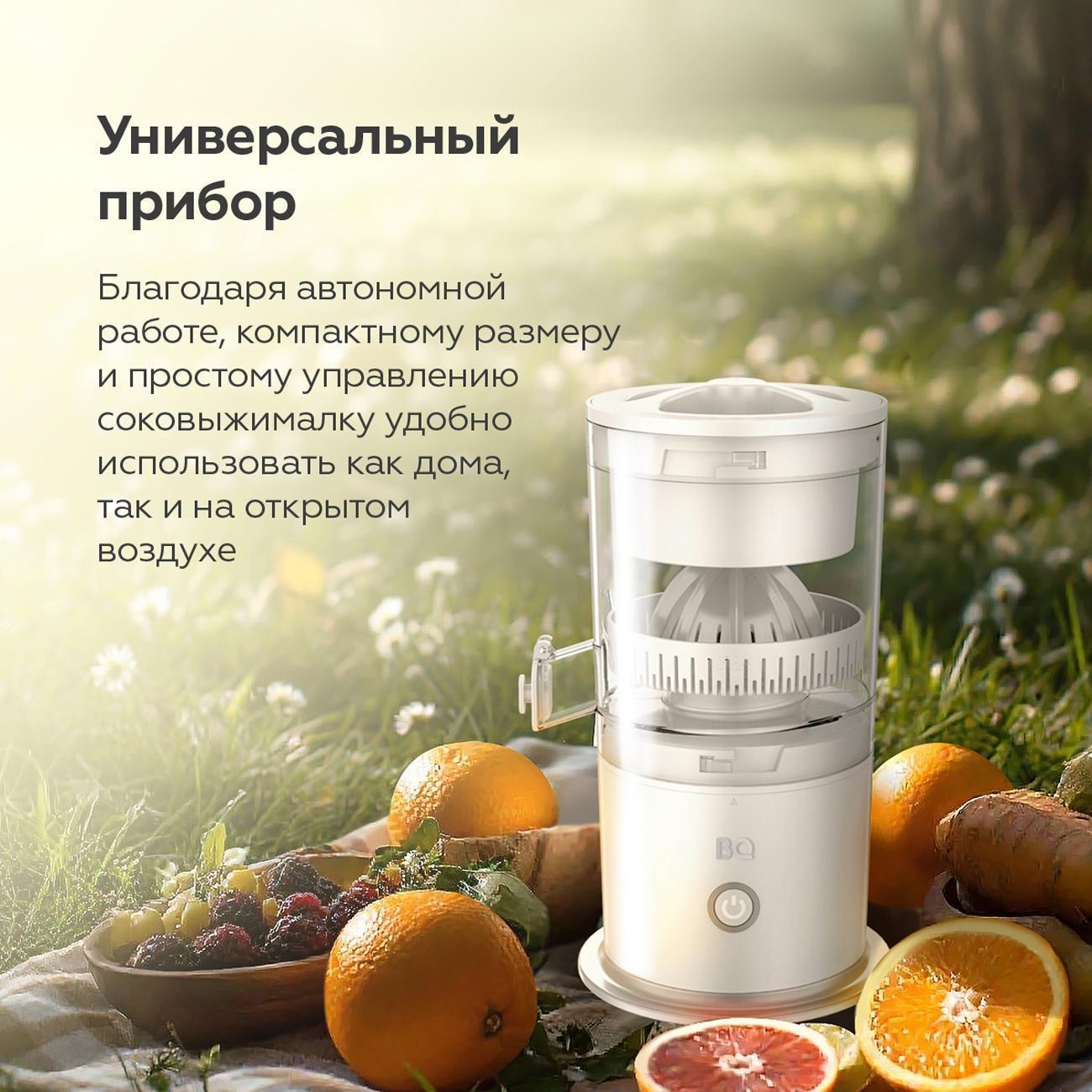 https://img.mvideo.ru/Big/400486358bb4.jpg