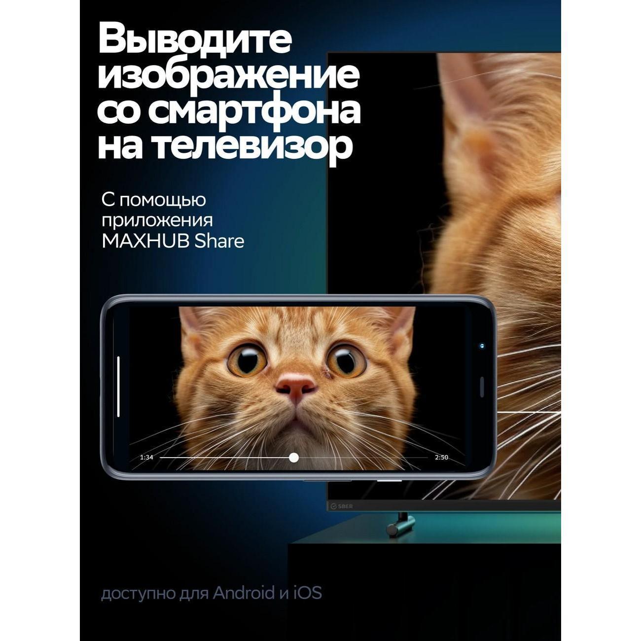 https://img.mvideo.ru/Big/400488914bb10.jpg