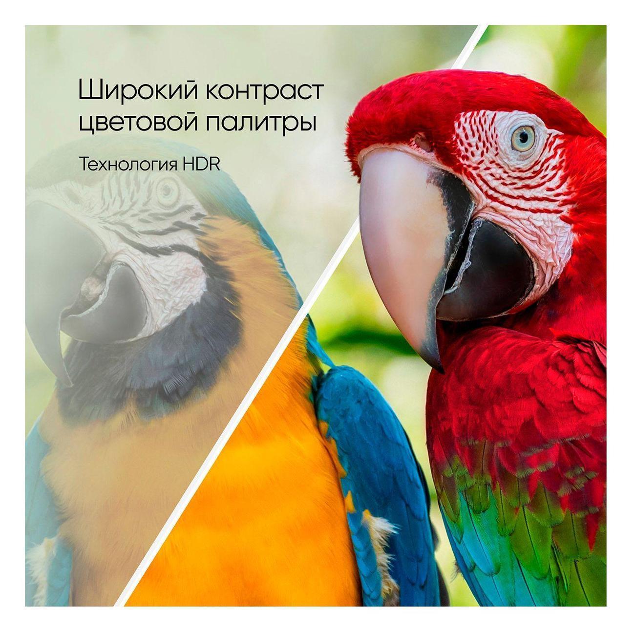 https://img.mvideo.ru/Big/400489537bb14.jpg
